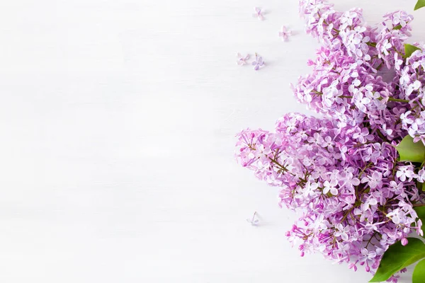 Όμορφα Πασχαλινά Λουλούδια Λευκό Φόντο — Φωτογραφία Αρχείου