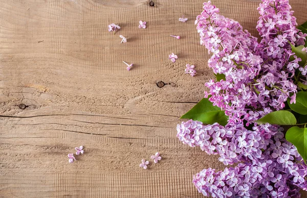 Mooie Lila Bloemen Houten Achtergrond — Stockfoto