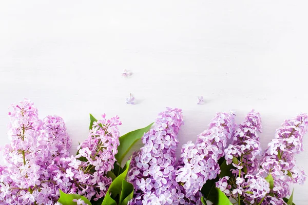 Beautiful lilac flowers on white background — Stock Photo, Image