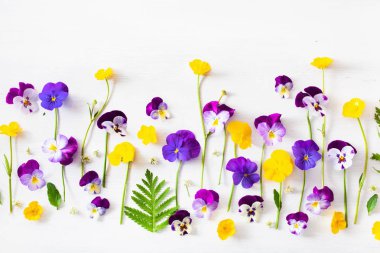 güzel pansy yaz çiçekleri beyaz flatlay
