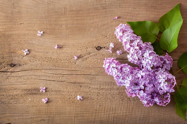 Beautiful lilac flowers on wooden background — Stock Photo, Image