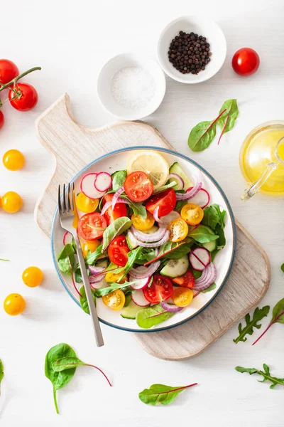 Ensalada de tomate vegano colorido saludable con pepino, rábano, cebolla — Foto de Stock