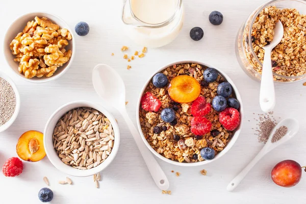 Gesundes Müsli zum Frühstück mit Beerenfrüchten, veganer Milch — Stockfoto