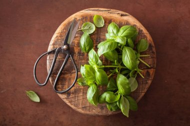 taze fesleğen bitki kahverengi zemin üzerine