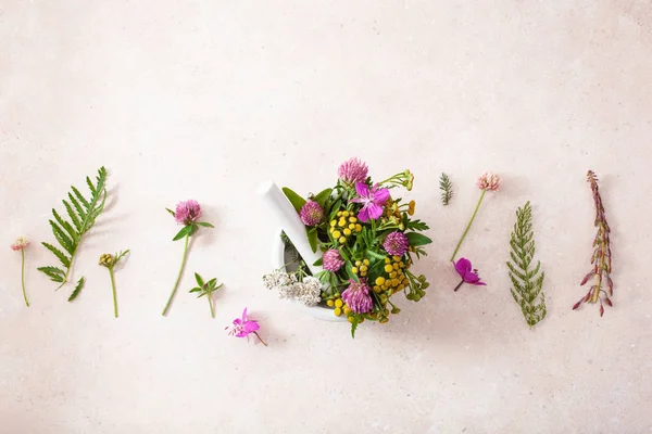 Medical flowers herbs in mortar. clover milfoil tansy rosebay — Stock Photo, Image