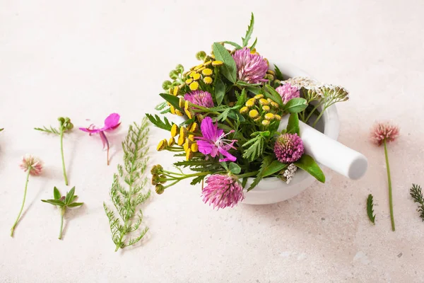 Medical flowers herbs in mortar. alternative medicine. clover mi — Stock Photo, Image
