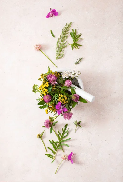 Medical flowers herbs in mortar. alternative medicine. clover mi — Stock Photo, Image