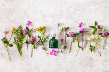 şişe kozmetik cilt bakımı serum tıbbi çiçek otlar. alternativ
