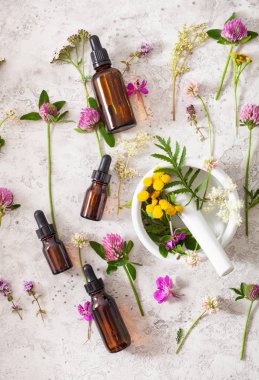 medical flowers herbs in mortar essential oils in bottles. alter clipart