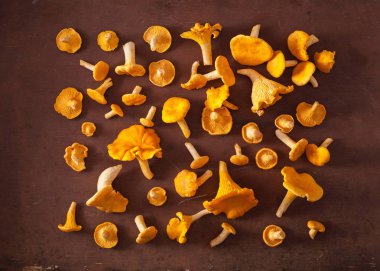 ham taze Cantharellus cibarius mantar düz koyu arka plan üzerinde yatıyordu