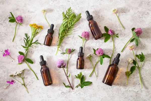 tıbbi çiçekler otlar şişelerde uçucu yağlar. alternatif med