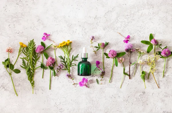 Na lahvích kosmetická péče o sérum lékařské květiny bylinkové. alternativ — Stock fotografie