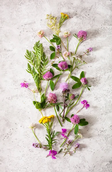 Flores medicinales hierbas, medicina alternativa. Tanques de trébol y mielada — Foto de Stock