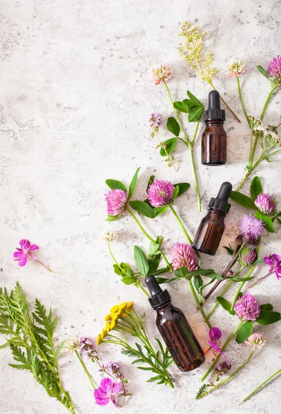 Flores medicinales hierbas aceites esenciales en botellas. alternativa med —  Fotos de Stock