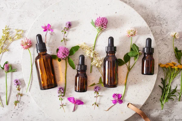 tıbbi çiçekler otlar şişelerde uçucu yağlar. alternatif med