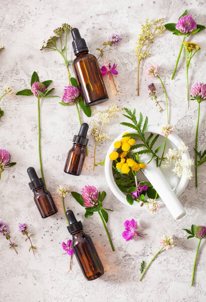 medical flowers herbs in mortar essential oils in bottles. alter