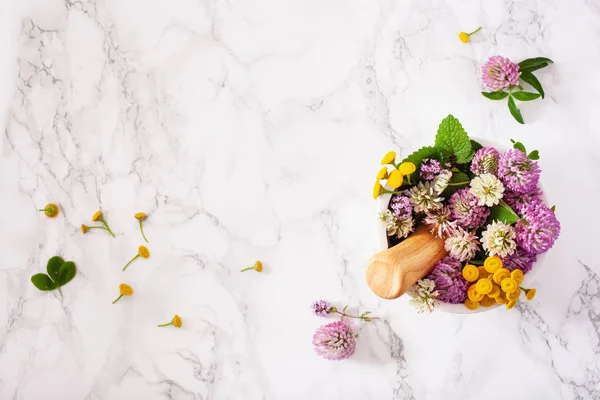 Flores medicinales hierbas en mortero. medicina alternativa. trébol ta — Foto de Stock