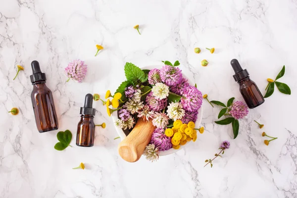 şişelerde harç uçucu yağlar tıbbi çiçek otlar. Alter