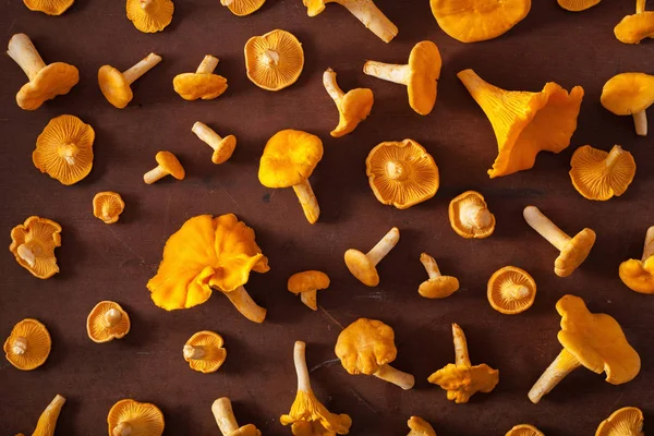 ham taze Cantharellus cibarius mantar düz koyu arka plan üzerinde yatıyordu