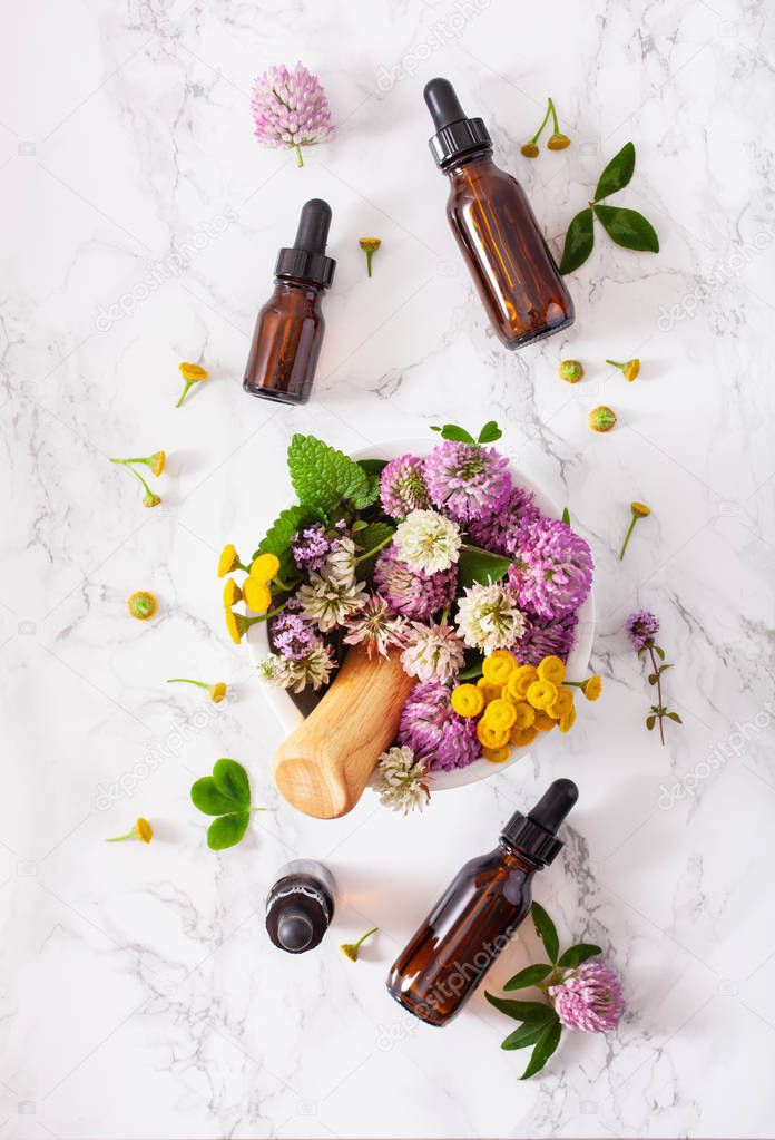 medical flowers herbs in mortar essential oils in bottles. alter