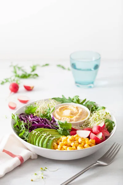 Vegane Avocado-Süßmais-Lunchschüssel mit Hummus, Rotkohl, Ra — Stockfoto