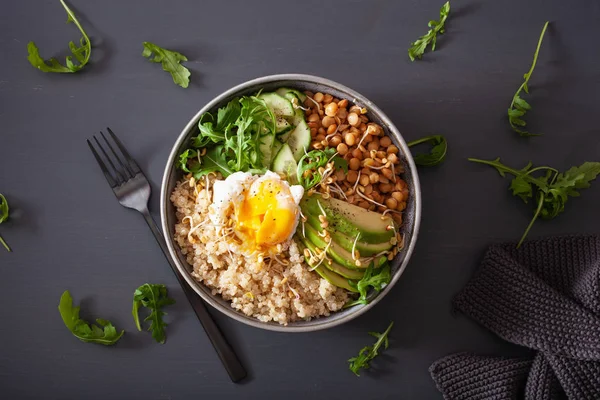 Tigela de quinoa com ovo, abacate, pepino, lentilha. Vegetar saudável — Fotografia de Stock