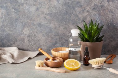 sıfır atık çevre dostu temizlik konsepti. Tahta fırçalar, limon, kabartma tozu, sirke.