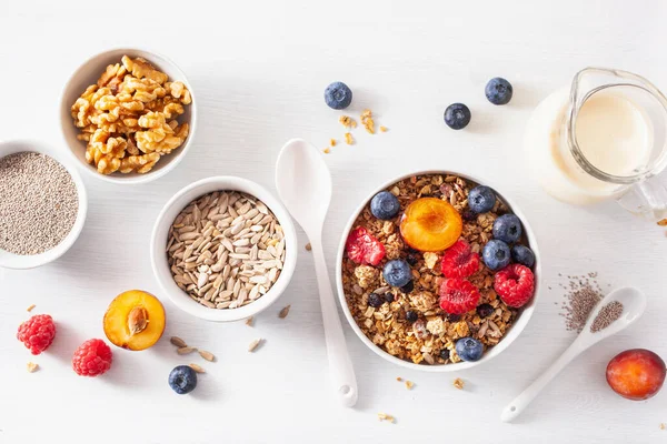 Gesundes Müsli Zum Frühstück Mit Beerenfrüchten Pflanzenmilch — Stockfoto