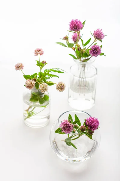 Fleurs Médicales Sauvages Été Des Herbes Dans Des Pots Verre — Photo