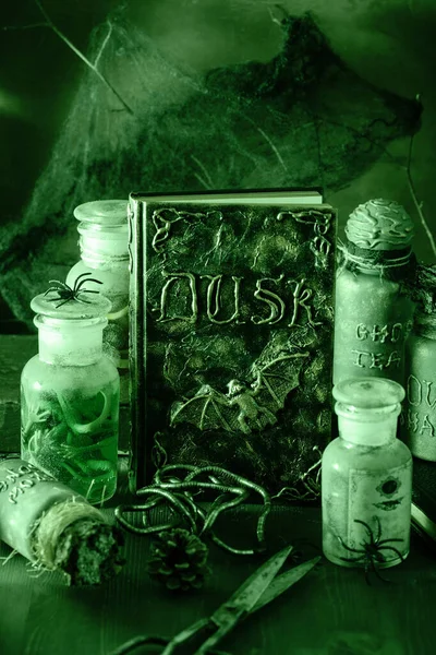 Trollkrukor Magiska Drycker Bok Halloween Dekoration — Stockfoto