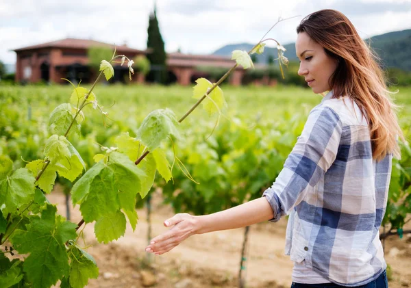 Mujer joven en el viñedo — Foto de Stock