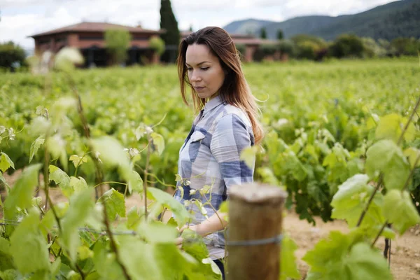 Jeune femme dans le vignoble — Photo