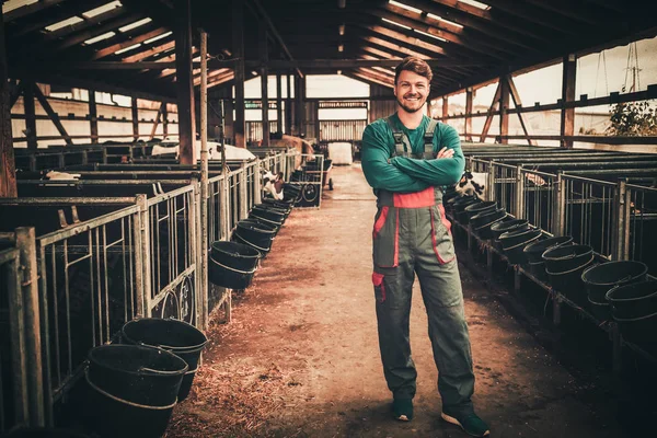 Jungbauer in einem Kuhstall auf einem Milchbauernhof — Stockfoto