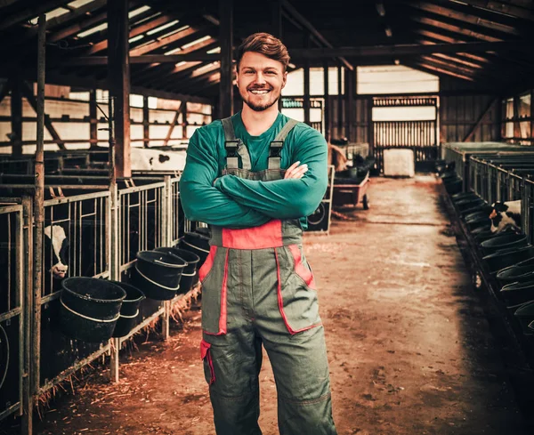 Jeune agriculteur dans une étable dans une ferme laitière — Photo