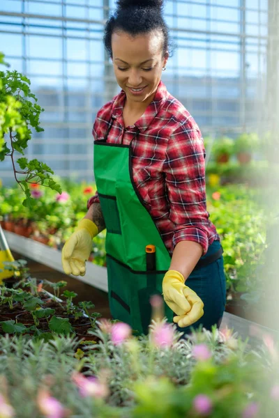 Zwarte vrouw die werkt in een botanische tuin — Stockfoto