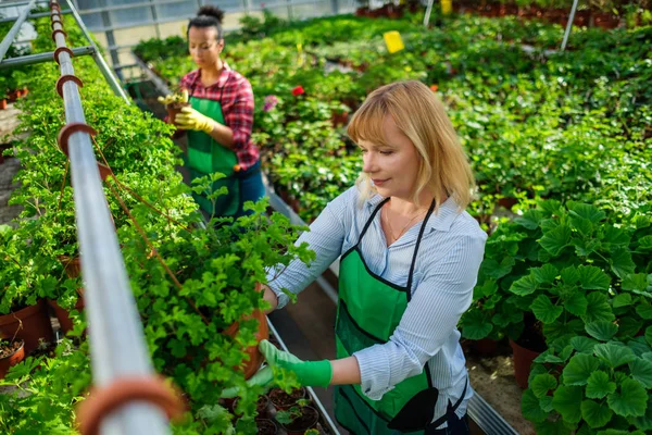 Twee vrouwen die werkzaam zijn in een botanische tuin — Stockfoto