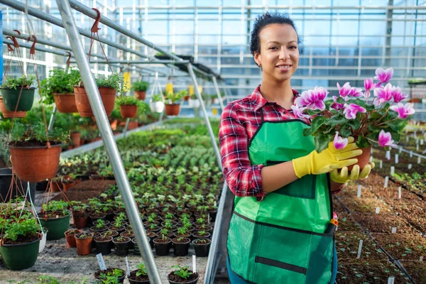 Zwarte vrouw die werkt in een botanische tuin — Stockfoto