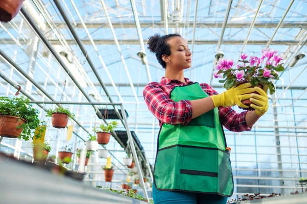 Zwarte vrouw die werkt in een botanische tuin — Stockfoto