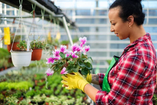 Femme noire travaillant dans un jardin botanique — Photo
