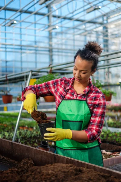 Zwarte vrouw die werkt in een botanische tuin — Stockfoto