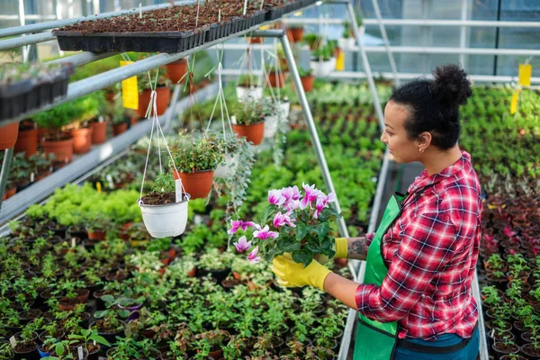 Zwarte vrouw die werkt in een botanische tuin — Stockfoto