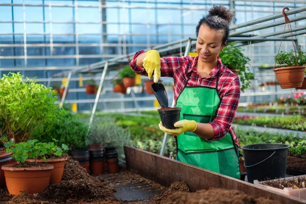 Zwarte vrouw die werkt in een botanische tuin — Stockfoto