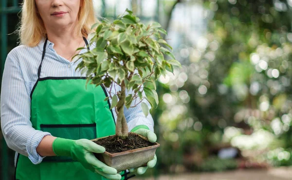 Rijpe vrouw die werkt in een botanische tuin — Stockfoto