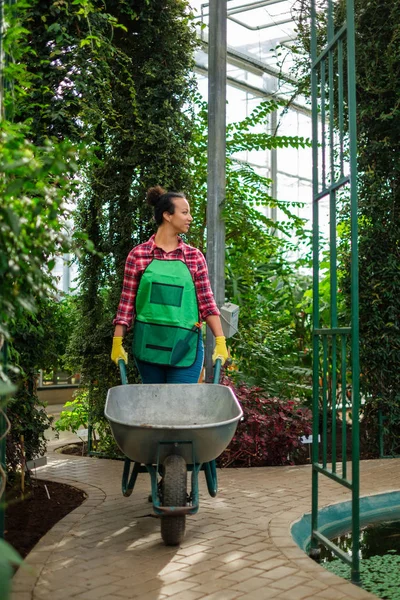 Černoška s kolečko v botanické zahradě — Stock fotografie