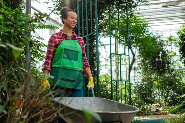 Mulher negra wiht carrinho de mão em um jardim botânico — Fotografia de Stock