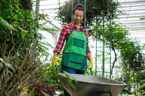 Zwarte vrouw met kruiwagen in een botanische tuin — Stockfoto