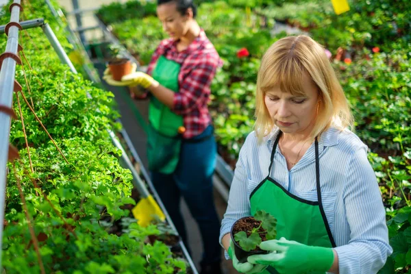 Two women working in a botanical garden — Stock Photo, Image