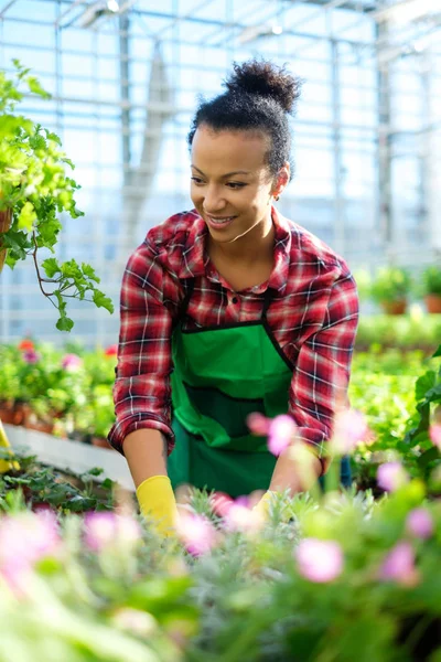 Czarna kobieta, praca w ogrodzie botanicznym — Zdjęcie stockowe