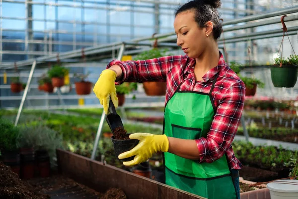 Zwarte vrouw die werkt in een botanische tuin — Stockfoto