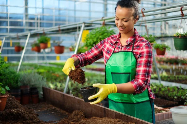 Mulher negra trabalhando em um jardim botânico — Fotografia de Stock